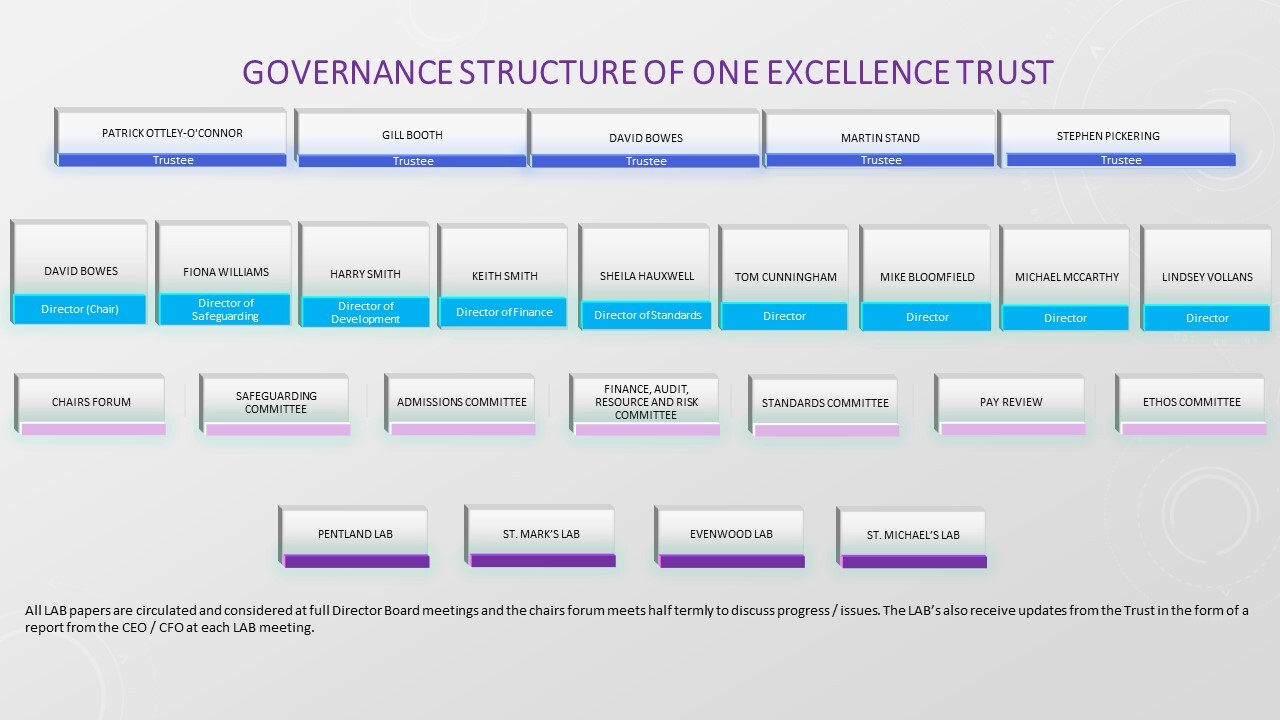 One Excellence Governance Structure